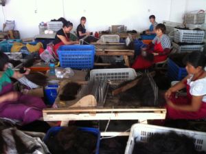 Fábrica de cabelos, cidade de Nantong, Jiangsu (jun./2013).